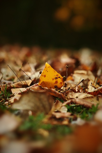 TA：勒沃库森的防守坚如磐石，曼城两侧防线存在巨大漏洞