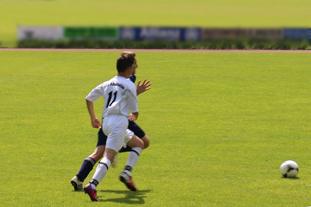 马术馆+民宿，白城将新增打卡地！