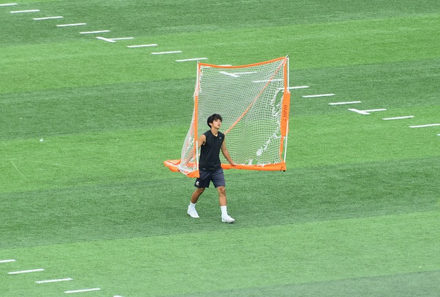 的新星
