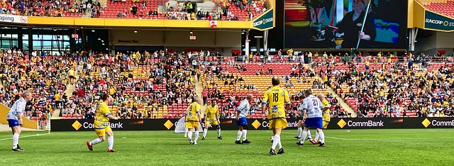 生新选择 生新选择