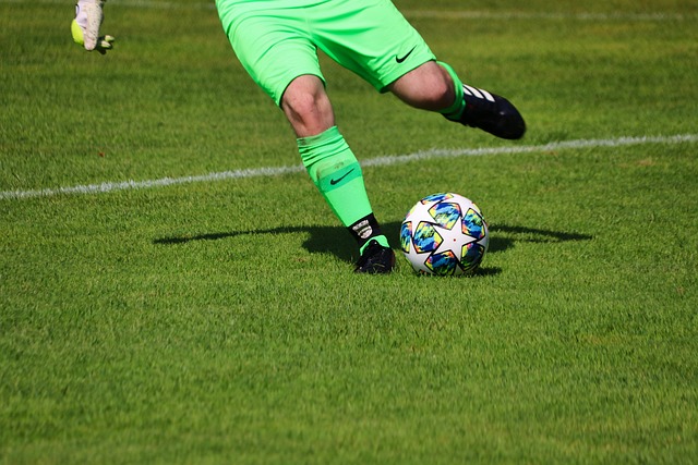 耐受性和恢 耐受性和恢