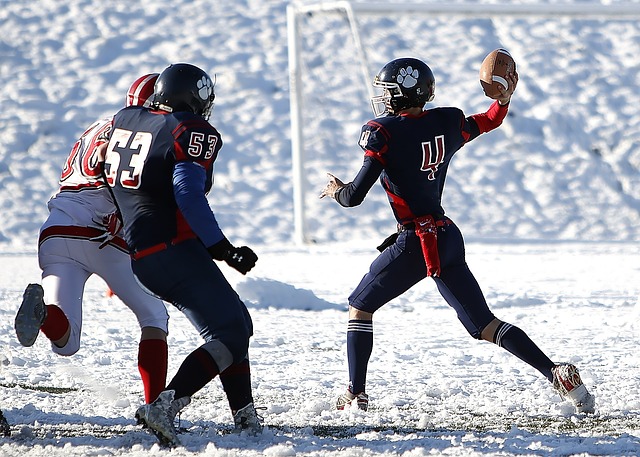 在今后的比 在今后的比