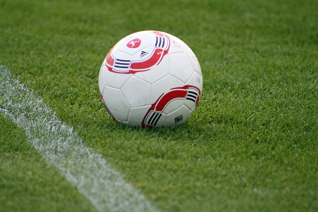 他们的生活 他们的生活