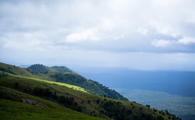主帥的潛力 主帥的潛力