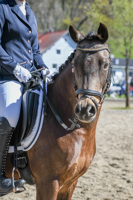 人走出困境 人走出困境