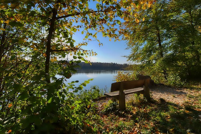 年轻运动员 年轻运动员