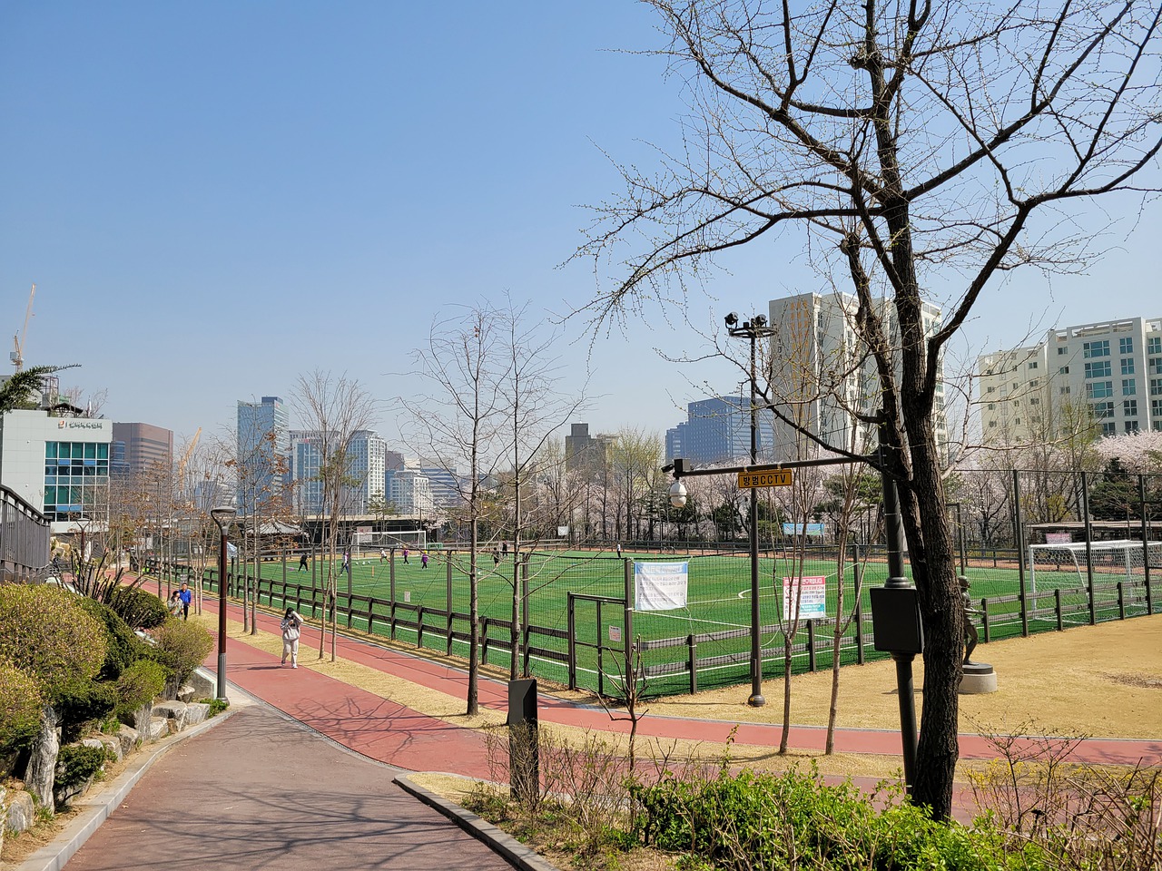 不敌沙特队 不敌沙特队