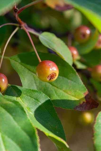 起一波进攻 起一波进攻