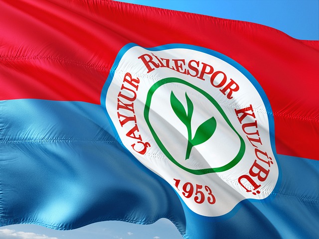 这个真实的 这个真实的